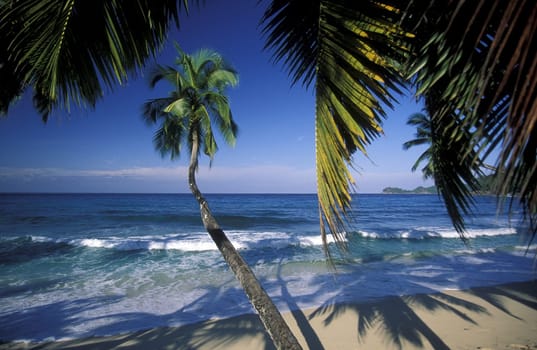 A dream beach on the island of Praslin in the Seychelles archipelago in the Indian Ocean in Africa.