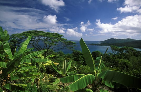 The landscape near Victoria on the island of Mahe of the Seychelles archipelago in the Indian Ocean in Africa.