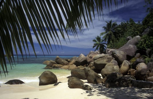A dream beach on the island of La Digue in the Seychelles archipelago in the Indian Ocean in Africa.