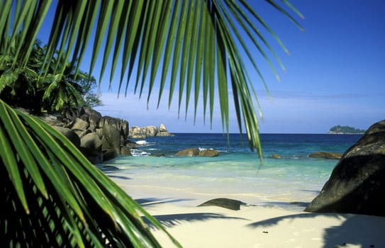 A dream beach on the island of La Digue in the Seychelles archipelago in the Indian Ocean in Africa.