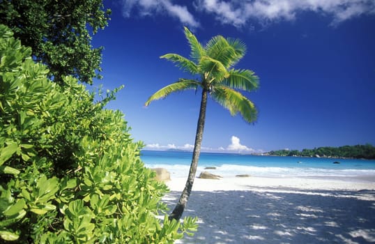 A dream beach on the island of La Digue in the Seychelles archipelago in the Indian Ocean in Africa.