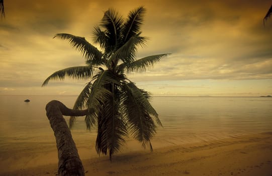 A dream beach on the island of Praslin in the Seychelles archipelago in the Indian Ocean in Africa.