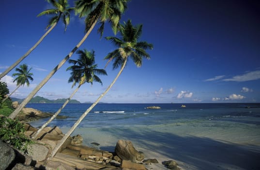 A dream beach on the island of Praslin in the Seychelles archipelago in the Indian Ocean in Africa.