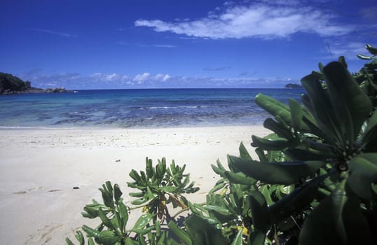 The landscape on the island of Mahe in the Seychelles in the Indian Ocean.