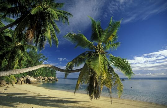 A dream beach on the island of La Digue in the Seychelles in the Indian Ocean.