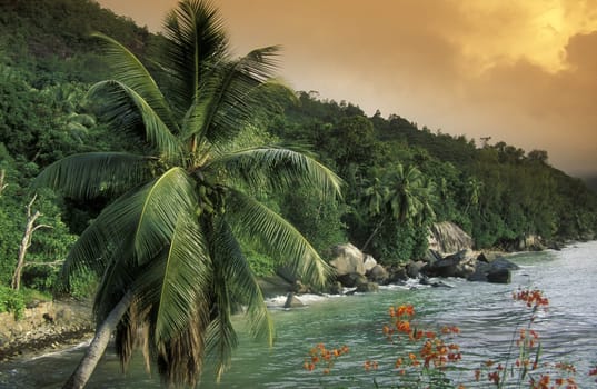 The landscape on the island of Mahe in the Seychelles in the Indian Ocean.