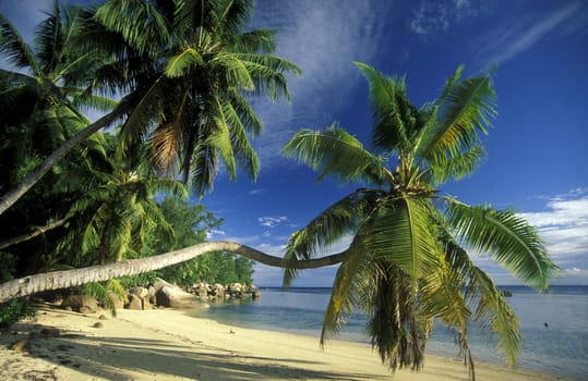 A dream beach on the island of La Digue in the Seychelles in the Indian Ocean.