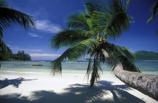 The landscape on the island of Mahe in the Seychelles in the Indian Ocean.