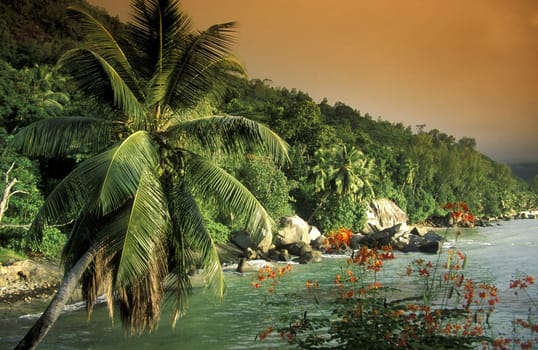 The landscape on the island of Mahe in the Seychelles in the Indian Ocean.