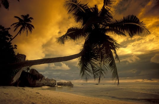 A dream beach on the island of La Digue in the Seychelles in the Indian Ocean.