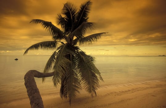 The landscape on the island of Mahe in the Seychelles in the Indian Ocean.