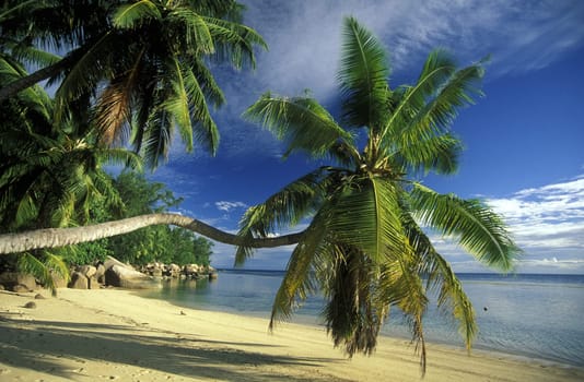 A dream beach on the island of La Digue in the Seychelles in the Indian Ocean.