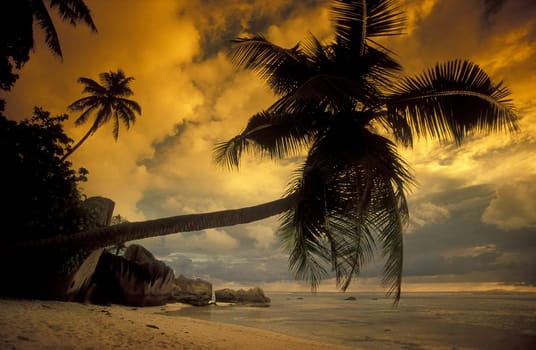 A dream beach on the island of La Digue in the Seychelles in the Indian Ocean.