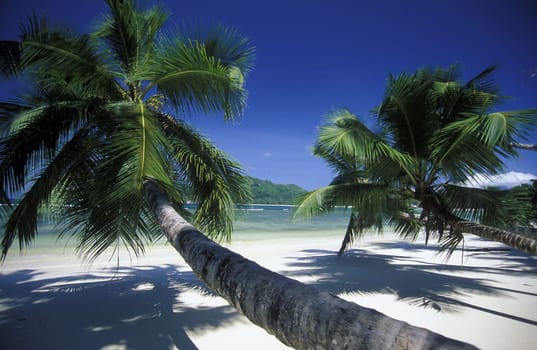 The landscape on the island of Mahe in the Seychelles in the Indian Ocean.