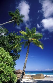 A dream beach on the island of La Digue in the Seychelles archipelago in the Indian Ocean in Africa.