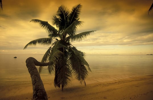 The landscape on the island of Mahe in the Seychelles in the Indian Ocean.