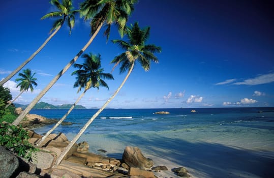 The landscape on the island of Mahe in the Seychelles in the Indian Ocean.