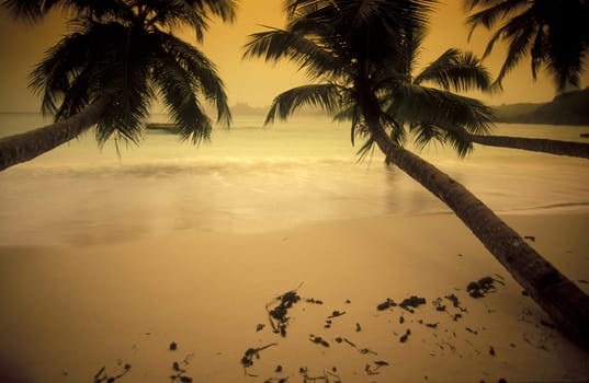 The landscape on the island of Mahe in the Seychelles in the Indian Ocean.