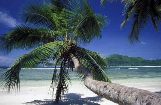 The landscape on the island of Mahe in the Seychelles in the Indian Ocean.