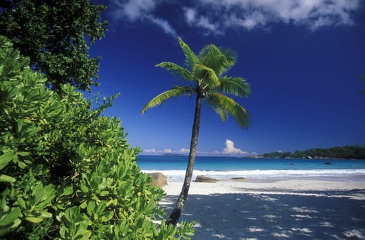 The landscape on the island of Mahe in the Seychelles in the Indian Ocean.