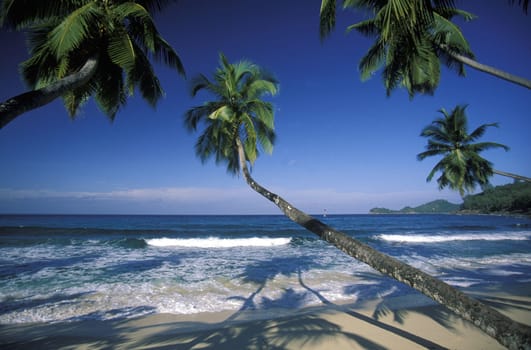 The landscape on the island of Mahe in the Seychelles in the Indian Ocean.