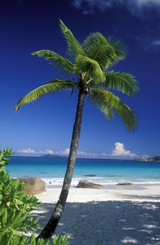 The landscape on the island of Mahe in the Seychelles in the Indian Ocean.