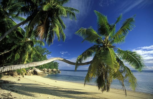 A dream beach on the island of La Digue in the Seychelles in the Indian Ocean.