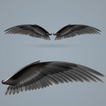 Inspiring wings black colour drawn separately on a gray background