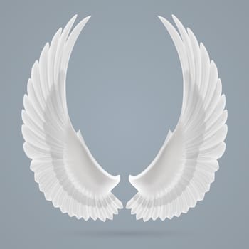 Inspiring white wings drawn separately on a gray background