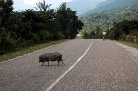 The landscape at Vang Vieng in the mountainous region of the national road 13 between Vang Vieng and Luang Prabang in central Laos of Laos in South East Asia.