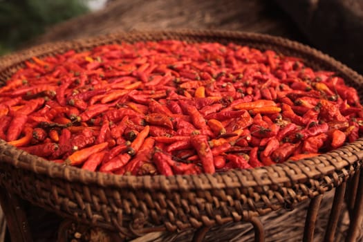 Chili pods are dried at the air in the mountainous region near the village of Kasi on the national road 13 between Vang Vieng and Luang Prabang in central Laos of Laos in South East Asia.