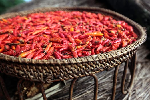 Chili pods are dried at the air in the mountainous region near the village of Kasi on the national road 13 between Vang Vieng and Luang Prabang in central Laos of Laos in South East Asia.