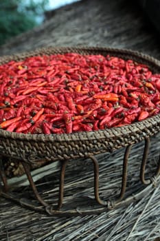Chili pods are dried at the air in the mountainous region near the village of Kasi on the national road 13 between Vang Vieng and Luang Prabang in central Laos of Laos in South East Asia.