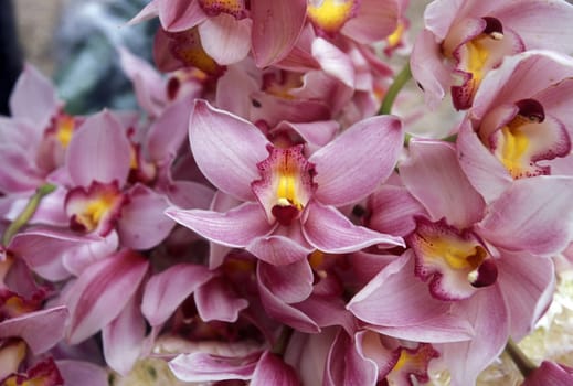 The traditional Spring Flower Festival in the capital Funchal on the island of Madeira in the Atlantic Ocean