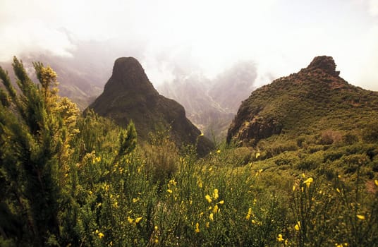 Europe,Atlantic Ocean,Portugal,Island,Madeira,Serra de Agua,Landscape,. Serra de Agua mountains in the centre of Madeira Island in the Atlantic Ocean,Portugal