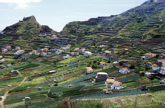 The agriculture beo Santo Antonio near Funchal in the south of the island of Madeira in the Atlantic Ocean,Portugal.