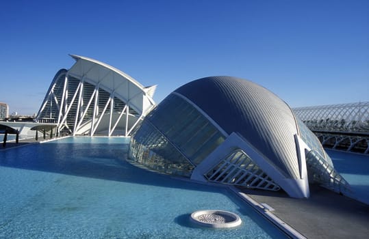 The City of Arts and Science in the New Town of Valencia,Spain.