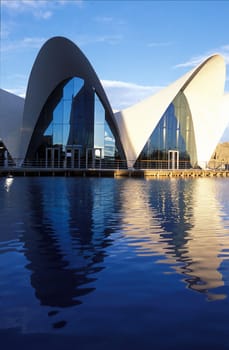 The L Oceanografic in the modern district of Valenzia in Spain in Europe.