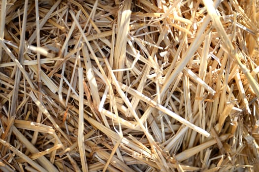 A close up shot of a bale of straw