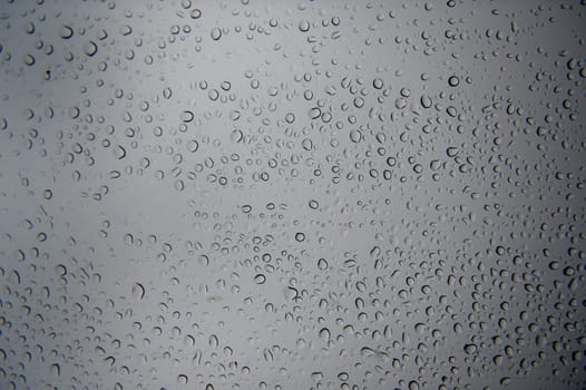 A close up shot of rain droplets on a window