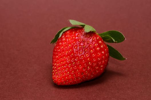 f07b87e0-03de-4bb4-ac27-b486ab1ac0da