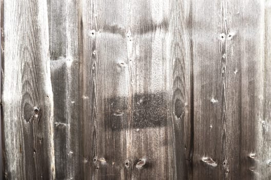 Wood background