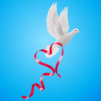 White dove with red ribbon with the blue background