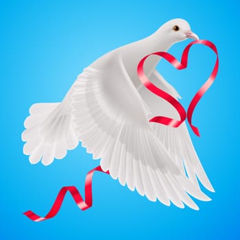 White dove with red ribbon with the blue background.