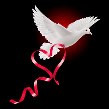 White dove with red ribbon on the dark background