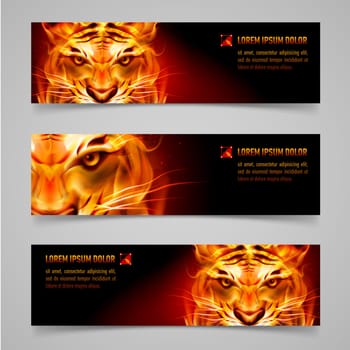 Set banners. Fire tiger message. Black background