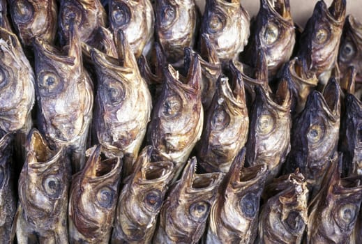 Getrokneter Fisch auf einem Markt im Zentrum in der Hauptstadt Seoul in Suedkorea in Ost Asien.