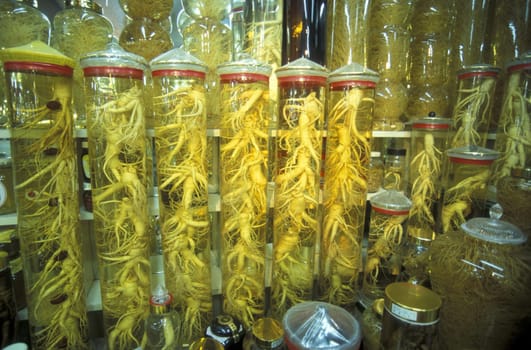 Ginseng roots at the Tongdaemun market in Seoul's capital of Suekorea in East Asia..