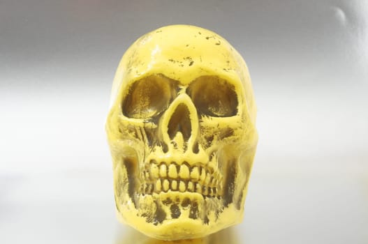 An Ancient Yellow Skull on a Colored Background