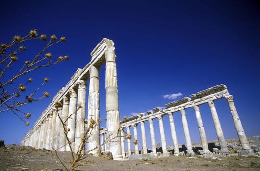 The ruins of Apameia in northwestern Syria in the Middle East in Arabia.